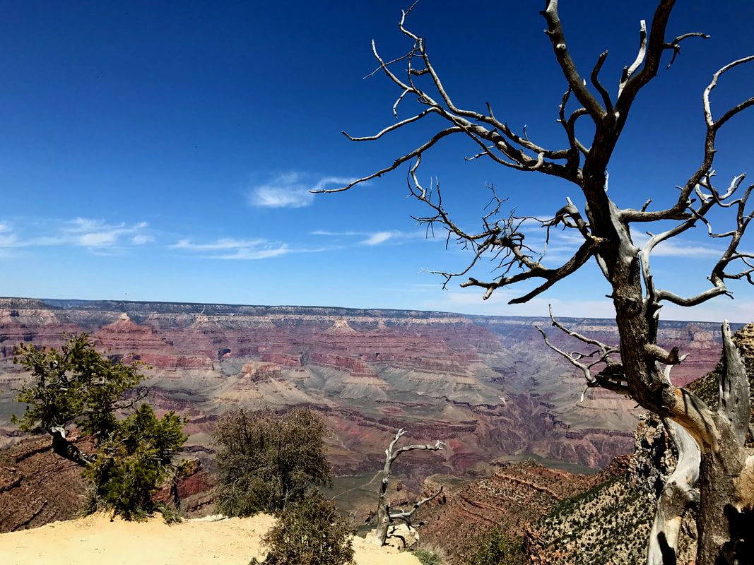 A day trip to the Grand Canyon from Sedona. Romantic Things to Do in Sedona, Arizona